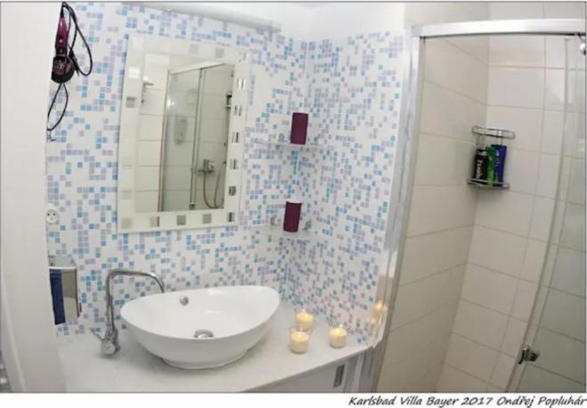 Bayer Apartment