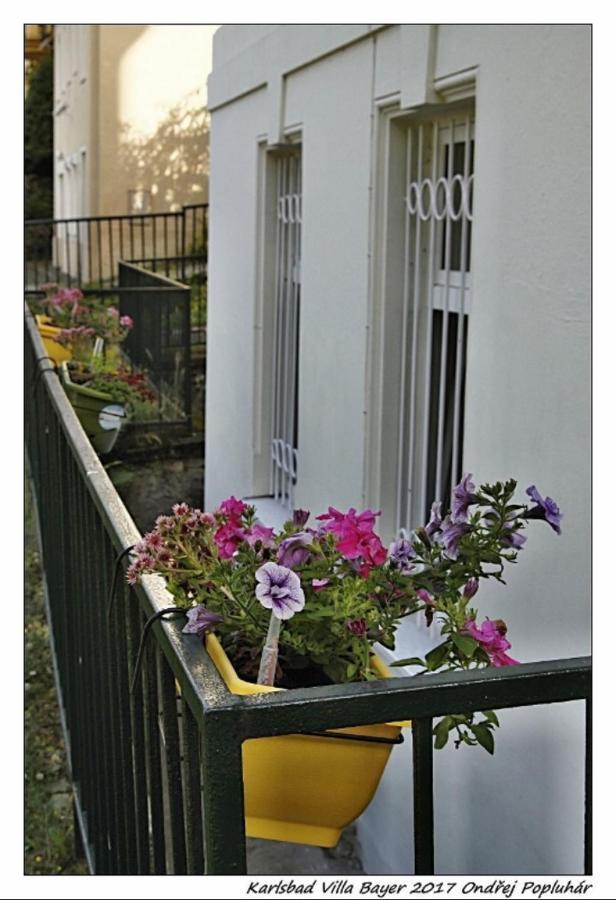 Bayer Apartment *
