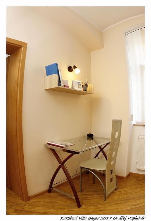 Apartment Bayer Karlovy Vary