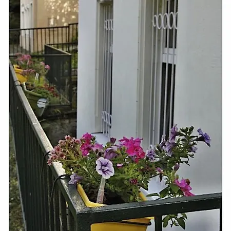 Apartman Vila Bayer Karlovy Vary Exterior photo