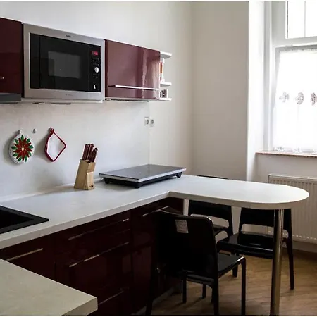 Apartman Vila Bayer Karlovy Vary Exterior photo