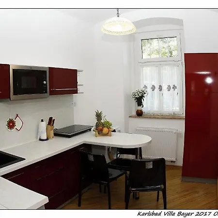 Apartman Vila Bayer Karlovy Vary Exterior photo
