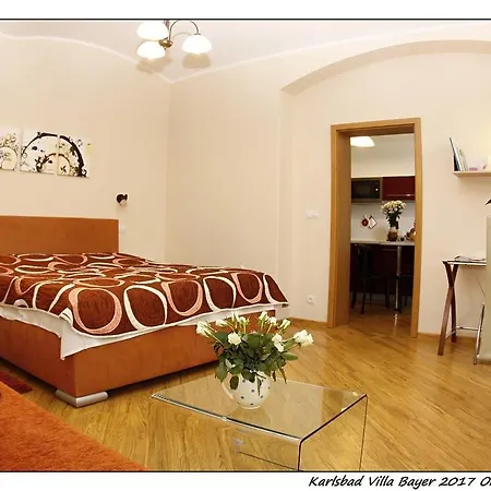 Apartman Vila Bayer Karlovy Vary Exterior photo
